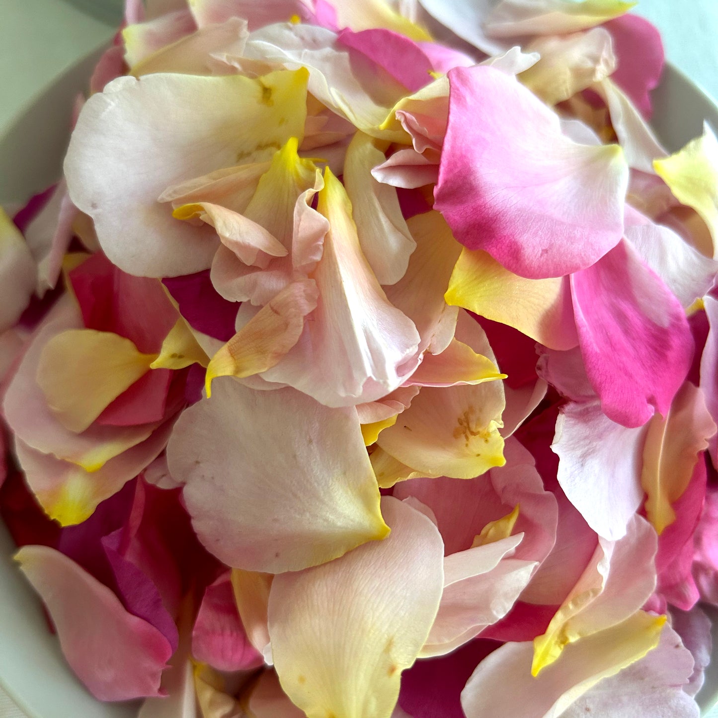 Lemon Balm and Rose Glycerite - 2 fl. oz.